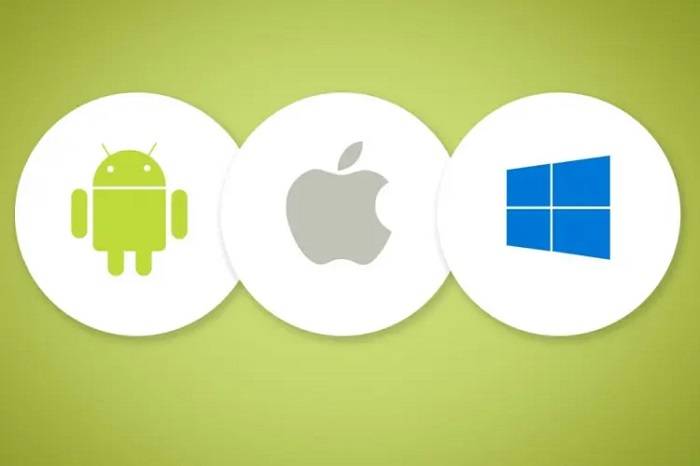Compatibility and Operating Systems