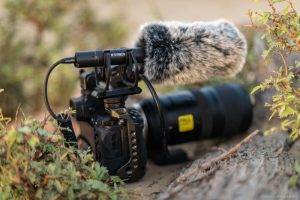 Understanding Shotgun Microphones