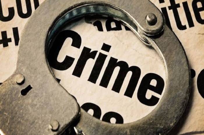 Unraveling Cold Cases A Glimpse into True Crime